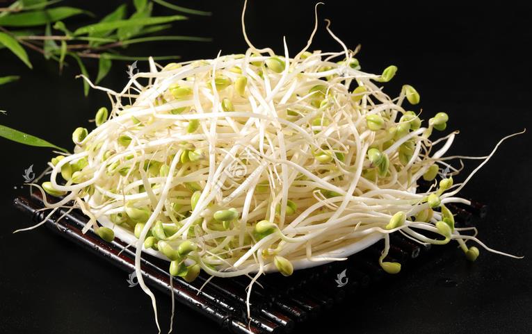 無公害綠色豆芽，怎么生產(chǎn)出來的？全套生產(chǎn)過程如此方便智能